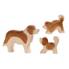 Hund, Sankt Bernhard, 2 valpar