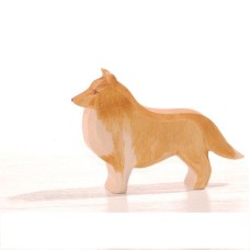 Hund Collie Hund Collie