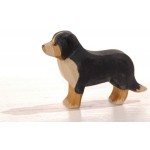 Hund, Berner Sennen