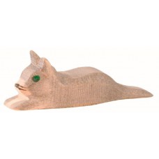 Katt, kattunge grå Katt, kattunge grå