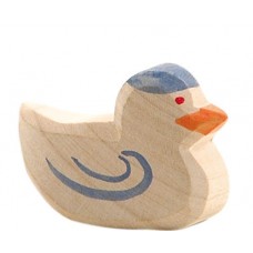 Fågel, Duva Fågel, Duva