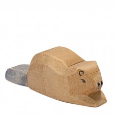Bäver, unge Bäver, unge