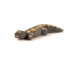 Salamander Salamander