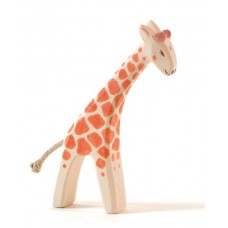 Giraff, unge huvud ner Giraff, unge huvud ner