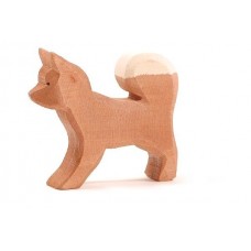 Hund, Lapphund Hund, Lapphund