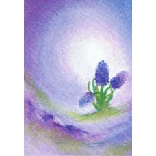 Vykort,BeB1009 Hyacinter