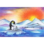 Vykort - BeD1006 - Pingviner