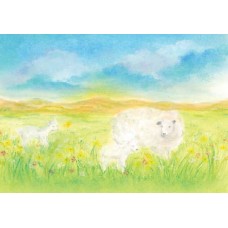 Vykort,BeD1014 Fåren