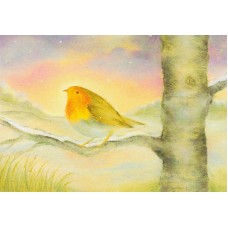 Vykort,BeD1021 Rödhake