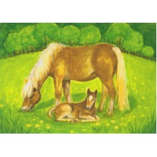 Vykort,M548 Sto med föl