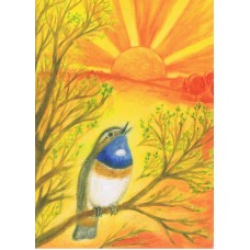 Vykort,M619 Vårkvitter