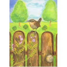 Vykort,M622 Gärdsmyg