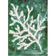 Vykort,M631 Rimfrost