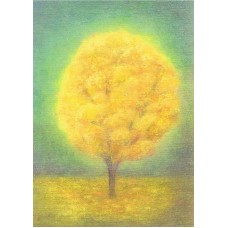 Vykort,M640 Höstträd