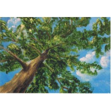 Vykort,M653 Styrka, Kraftfullt träd