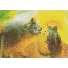 Vykort,M989 Möss i solljus