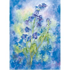 Vykort,Mz459 Riddarsporre