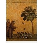 Vykort - R0701 - Fransiskus - Fågelpredikanten