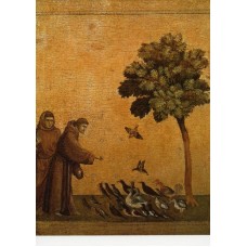 Vykort,R0701 - Fransiskus - Fågelpredikanten