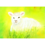 Vykort - R3077 - Vitt lamm