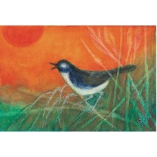 Vykort,R3471 Svarthätta