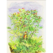 Vykort,R3909 Pyssling bland nypon