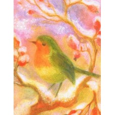 Vykort,R5047 Rödhake i nyponsnår