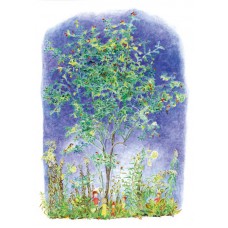 Vykort,R5223 Höstljus