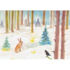 Vykort,R5229 Vinterskog