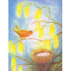 Vykort,R5241 Fågelbo bland Gullregnshängen