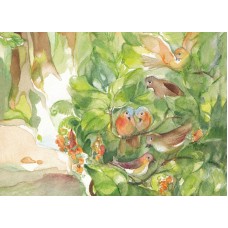 Vykort,Vr092 Fågelkvitter