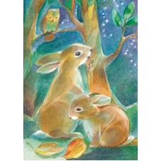 Vykort,Vr146 Harar på nattlig utflykt