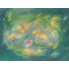 Vykort,Vr160 Fågelbo