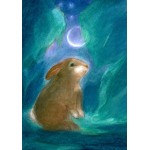 Vykort - Vr034 - Hare i månsken