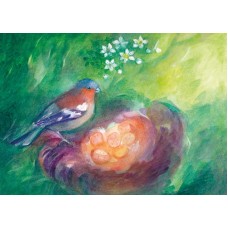 Vykort,Vr159 Fågelbo om våren