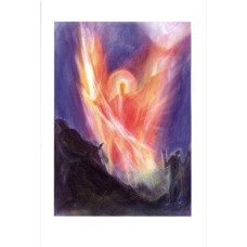 Vykort-serie, 12 aspekter av Mikael