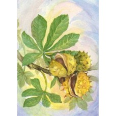 Vykort,W2022 Kastanj