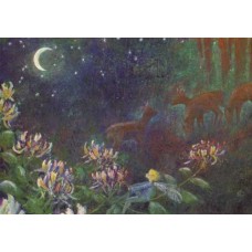 Vykort,W3007 Älva med rådjur i natten