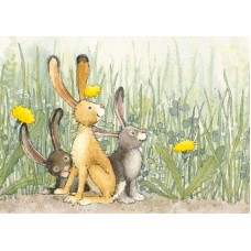 Vykort,W6012 Tre harar