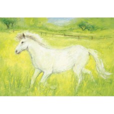 Vykort,Mz320 Vit häst