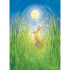 Vykort,Mz342 Haren och månen