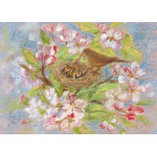 Vykort,Mz350 Mata fågelungar