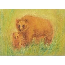 Vykort,Mz356 Björn med unge