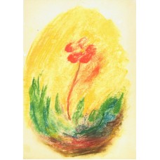 Vykort,Zb01 Blomma i ljus